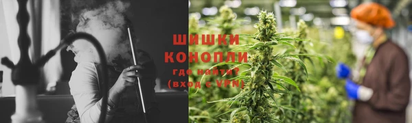 стафф Осташков