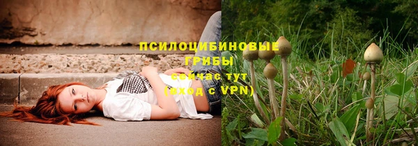 скорость Пересвет