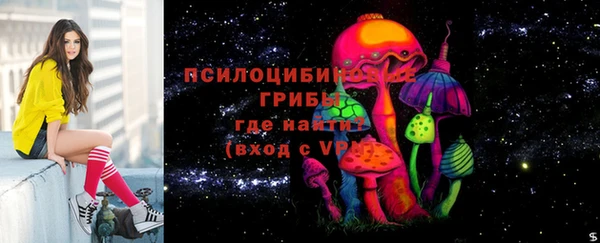 скорость Пересвет